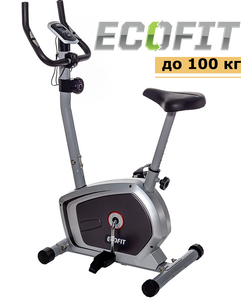 Велотренажер магнитный EcoFit E 8310 Маховик 6 кг, Вертикальный, Серый 14271 фото